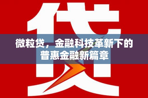 湖内微粒贷，金融科技革新下的普惠金融新篇章