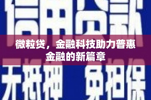湖内微粒贷，金融科技助力普惠金融的新篇章