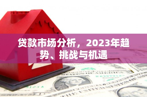 湖内贷款市场分析，2023年趋势、挑战与机遇