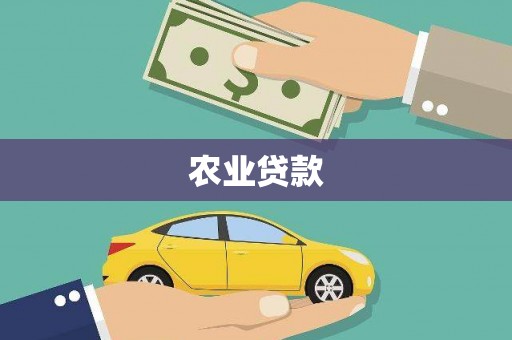 湖内农业贷款