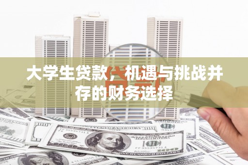 湖内大学生贷款，机遇与挑战并存的财务选择