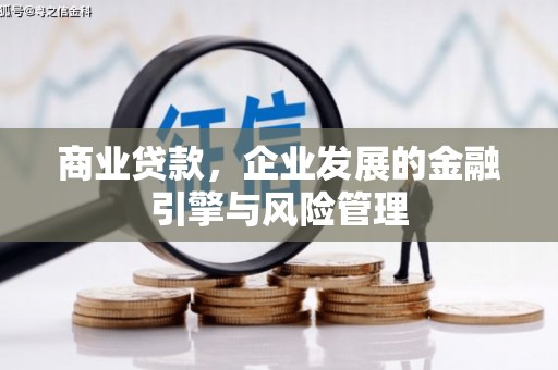 湖内商业贷款，企业发展的金融引擎与风险管理