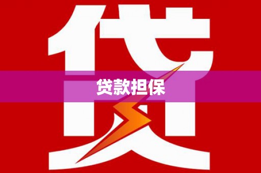 湖内贷款担保
