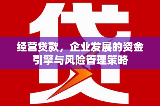 湖内经营贷款，企业发展的资金引擎与风险管理策略
