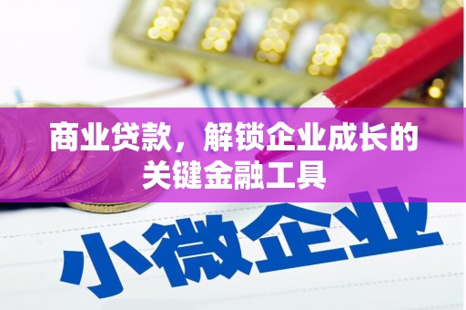 湖内商业贷款，解锁企业成长的关键金融工具