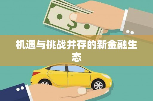 湖内机遇与挑战并存的新金融生态