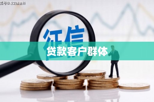 湖内贷款客户群体
