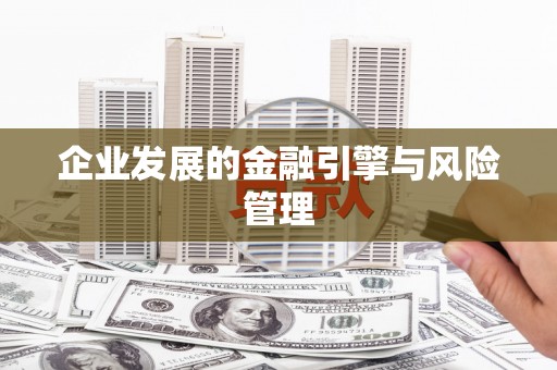湖内企业发展的金融引擎与风险管理