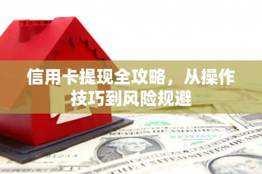 湖内信用卡提现全攻略，从操作技巧到风险规避