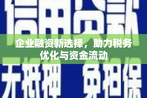 湖内企业融资新选择，助力税务优化与资金流动