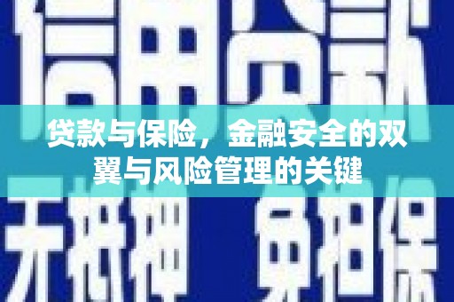 湖内贷款与保险，金融安全的双翼与风险管理的关键