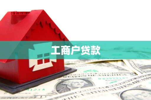 湖内工商户贷款