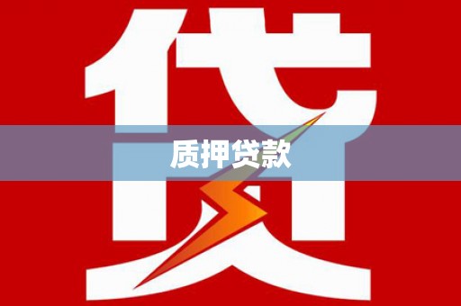 湖内质押贷款