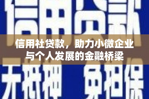 湖内信用社贷款，助力小微企业与个人发展的金融桥梁