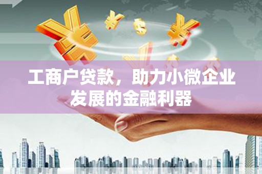 湖内工商户贷款，助力小微企业发展的金融利器