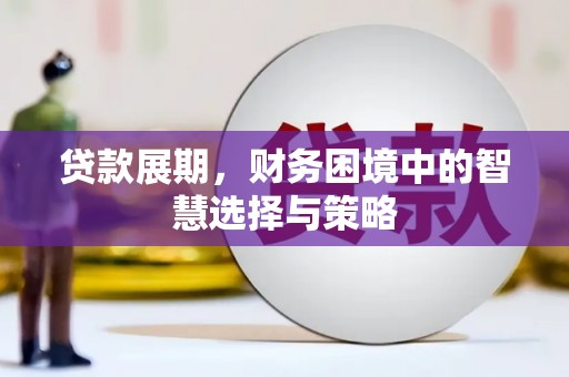 湖内贷款展期，财务困境中的智慧选择与策略