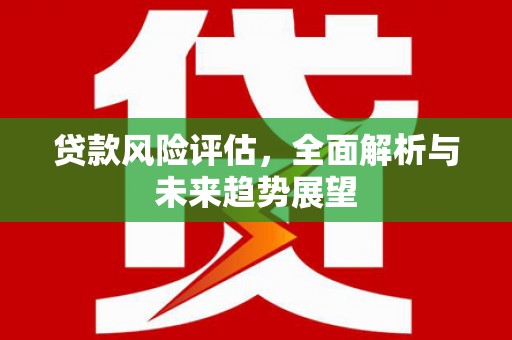 湖内贷款风险评估，全面解析与未来趋势展望