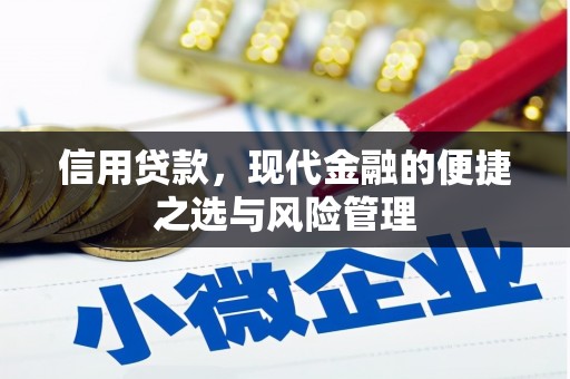 湖内信用贷款，现代金融的便捷之选与风险管理