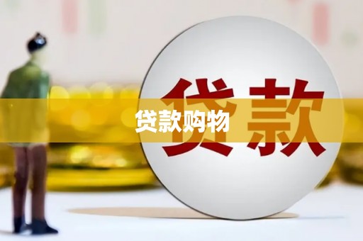 湖内贷款购物