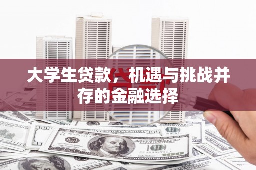 湖内大学生贷款，机遇与挑战并存的金融选择