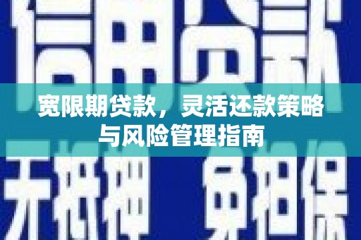 湖内宽限期贷款，灵活还款策略与风险管理指南
