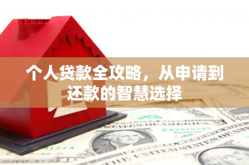 湖内个人贷款全攻略，从申请到还款的智慧选择