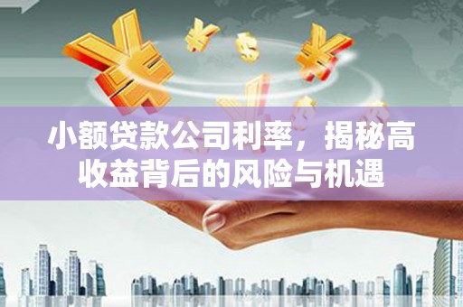 湖内小额贷款公司利率，揭秘高收益背后的风险与机遇