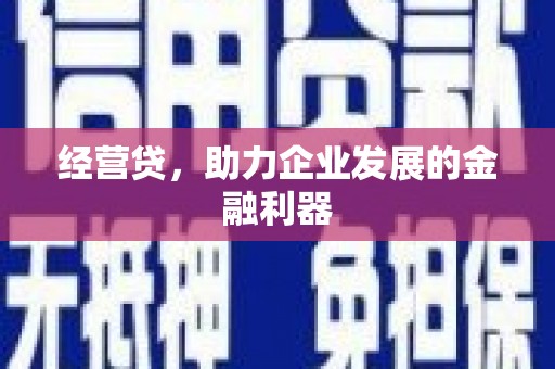 湖内经营贷，助力企业发展的金融利器