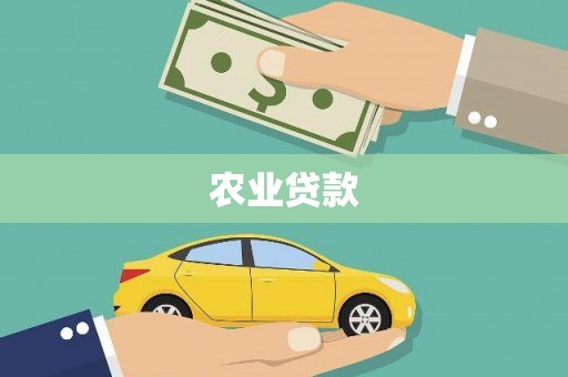 湖内农业贷款