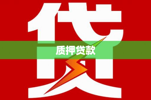湖内质押贷款