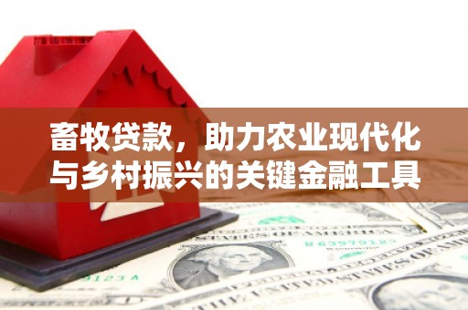 湖内畜牧贷款，助力农业现代化与乡村振兴的关键金融工具