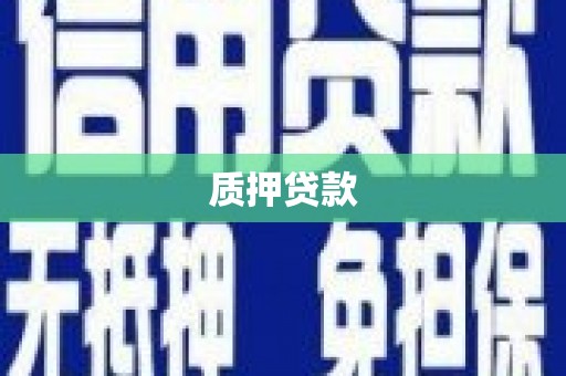 湖内质押贷款