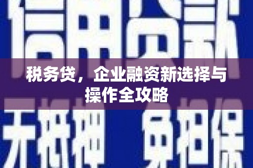 湖内税务贷，企业融资新选择与操作全攻略