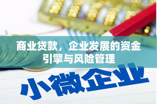 湖内商业贷款，企业发展的资金引擎与风险管理