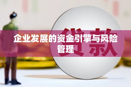 湖内企业发展的资金引擎与风险管理