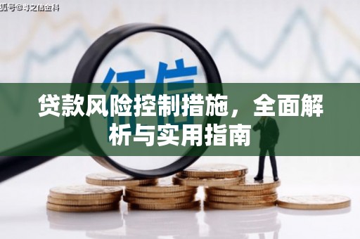湖内贷款风险控制措施，全面解析与实用指南