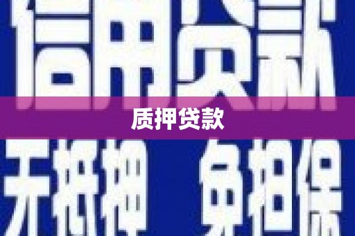 湖内质押贷款