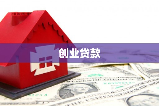 湖内创业贷款