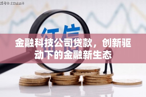 湖内金融科技公司贷款，创新驱动下的金融新生态