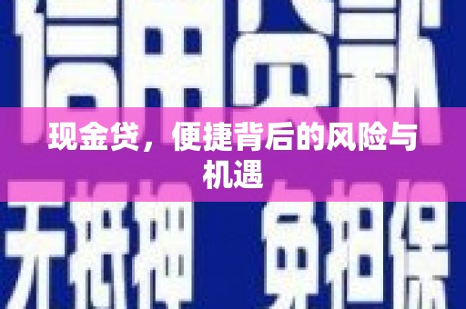 湖内现金贷，便捷背后的风险与机遇