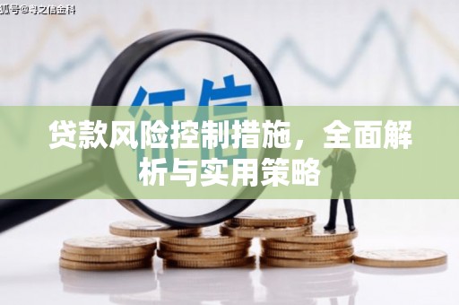 湖内贷款风险控制措施，全面解析与实用策略