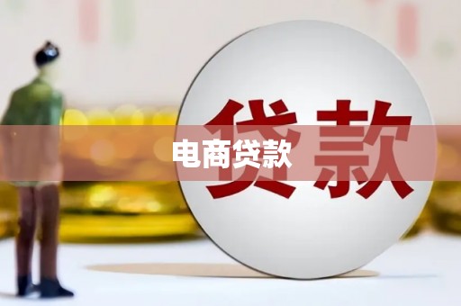 湖内电商贷款