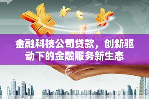 湖内金融科技公司贷款，创新驱动下的金融服务新生态