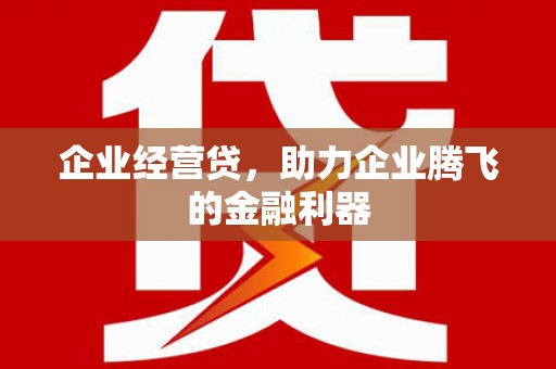 湖内企业经营贷，助力企业腾飞的金融利器