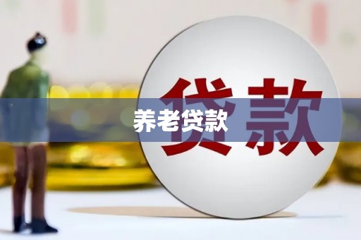 湖内养老贷款