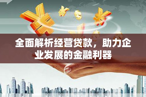 湖内全面解析经营贷款，助力企业发展的金融利器