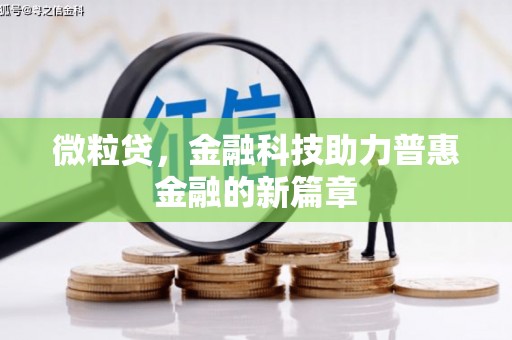 湖内微粒贷，金融科技助力普惠金融的新篇章