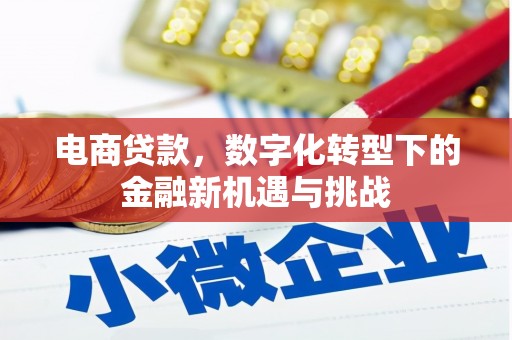 湖内电商贷款，数字化转型下的金融新机遇与挑战