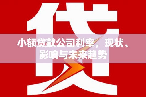 湖内小额贷款公司利率，现状、影响与未来趋势