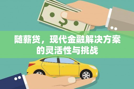 湖内随薪贷，现代金融解决方案的灵活性与挑战